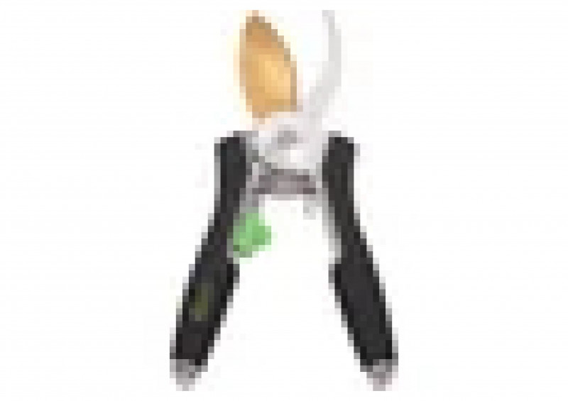 Секатор лепестковый Titanium